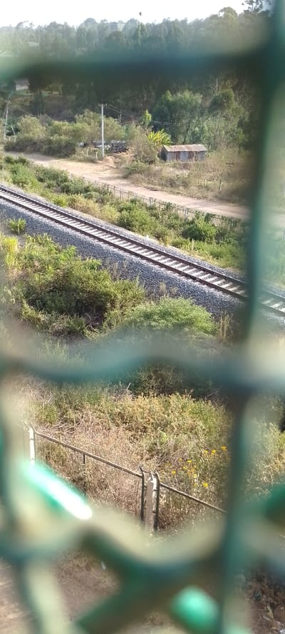 The image captures an outdoor landscape seen through a blurred green mesh or fence in the foreground, which creates a textured and somewhat obscured frame for the view beyond.

In the mid-ground, a railway track runs diagonally across the scene, from the lower left to the upper right. The track consists of dark rails laid on sleepers (ties) and embedded in a bed of light grey gravel ballast. Abundant vegetation, including various shades of green bushes, shrubs, and drier, lighter-colored grasses, flanks both sides of the railway and covers much of the surrounding terrain.

Parallel to the railway track and slightly further back, a winding dirt road or path is visible. Along this path, a darker metal fence with concrete posts can be seen. Scattered within this area are a few small, rustic structures. One prominent shack or shed, located to the right of the tracks and near the dirt path, features a corrugated metal roof that appears weathered and possibly rusted, and walls made of similar material. Another smaller structure is partially visible further to the left. Utility poles with overhead wires are also present among the trees and bushes.

The background is dominated by a dense expanse of green trees, forming a treeline that appears to be on a gentle slope or hill. The sky above is bright and hazy, indicating daylight, possibly morning or late afternoon given the soft lighting. No specific activities or people are visible in the static landscape. There is no discernible text in the image.