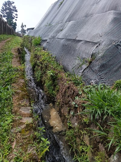 The image portrays an outdoor scene in Uato Carabar, Timor-Leste, featuring a narrow water channel alongside a steep, artificially stabilized embankment under an overcast sky. A dark-colored stream flows from the background to the foreground through an irregular channel. This channel is primarily lined with rough-hewn stone and concrete sections on its left bank, and natural earth and rocks on its right bank. To the left of the water channel, a dirt path, partially overgrown with green grass and moss, recedes into the background. Dominating the right side of the frame is a steep hillside or embankment, entirely covered by multiple overlapping sheets of a dark grey or black woven mesh material, likely for erosion control, with patches of green vegetation protruding through the fabric. In the distant left background, a concrete wall or fence runs parallel to the path, behind which a tall evergreen tree and other indistinct structures are visible. No individuals or animals are present, and no specific human actions or interactions are depicted.