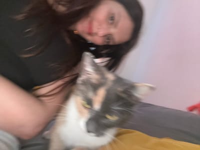 A low-angle, motion-blurred selfie shows a person in the foreground with their cat. The person has long, dark hair and is wearing a black shirt. Their face is tilted downwards and to the side, and their features are indistinct. The cat, a calico, is positioned in the person's lap, with its head raised and looking towards the camera. The cat has grey, white, and orange markings. The background consists of a pink wall and a dark surface, possibly a bed. The overall impression is an intimate, casual moment captured between the person and their pet. There is no indication of the location in Novoselye, Russia.
