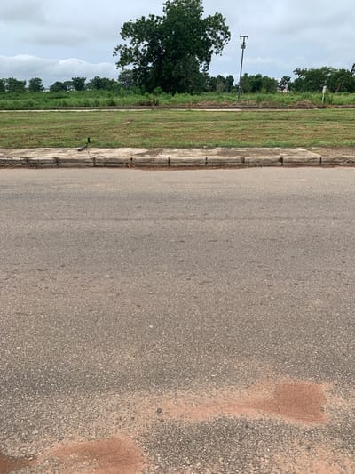 The image shows an outdoor scene dominated by a paved road on the right and a grassy verge on the left. The road is grey and appears to be asphalt, with some reddish-brown sandy patches on its surface. A concrete curb separates the road from the grassy area. The verge is covered in dry, brown and green grass, indicating a dry season. Beyond the verge, there is a line of trees and vegetation under a cloudy sky.
On the left side of the image, a tall, dark pole with a crossbar, likely a utility pole or lamppost, stands near the edge of the verge. A large, leafy tree is visible behind and to the left of the pole, with its branches extending into the frame. Further in the background, a dense line of green trees stretches across the horizon. The sky is overcast with soft, diffused light, suggesting either early morning or late afternoon, or a generally cloudy day. There is no visible human activity or any people in the image. The overall impression is one of a semi-urban or rural roadside environment in a tropical or subtropical region, consistent with the provided location context of Wukari, Nigeria. There is no visible text in the image.