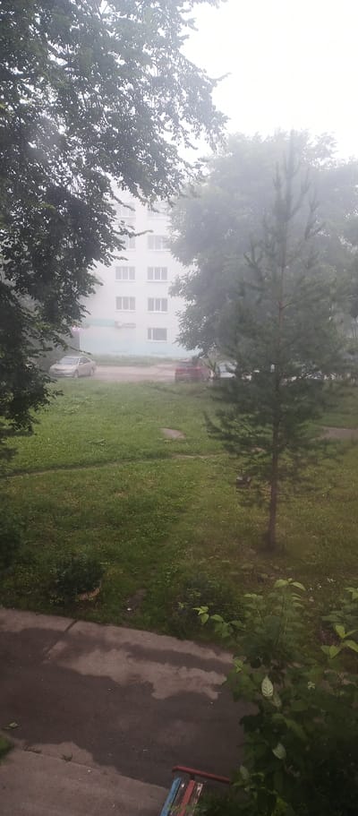 The image captures a foggy day in the city of Lysva, Russia. In the foreground, a wet asphalt path is visible with some green foliage on the right. Beyond the path, a grassy area with some patches of bare ground is seen. To the left, a silver sedan is parked. Further back, a light-colored, multi-story apartment building with numerous windows stands amidst trees. On the right side of the image, a small pine tree is prominent, with a bird feeder hanging from one of its branches. A red car is parked in front of the apartment building. The overall atmosphere is muted due to the heavy fog.