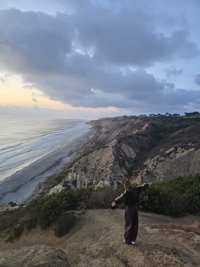 A young person stands on a cliff overlooking the Pacific Ocean, with their arms outstretched. The sky is cloudy, with a hint of sunset. The person is wearing a dark brown tracksuit and white sneakers. The cliff is covered in dry brush and rocks. A beach stretches along the coast below, with waves gently breaking on the shore. The scene appears to be Torrey Pines State Natural Reserve in San Diego, California, USA.
