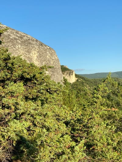 The image depicts a natural landscape dominated by a large, light-colored rock formation on the left, partially obscured by dense green foliage in the foreground. The foliage appears to be evergreen shrubs and trees, possibly juniper, with small yellowish berries visible on some branches.
Beyond the foreground, the landscape unfolds into rolling hills covered in a thick forest of green trees. In the mid-ground, a distinct cliff face with layered rock formations is visible, bathed in sunlight. The sky above is a clear, bright blue with a few faint, wispy clouds in the distance. The overall scene suggests a sunny day in a mountainous or hilly region, with abundant vegetation. The location is identified as within the village of Krasnomakskoye, in Ukraine.