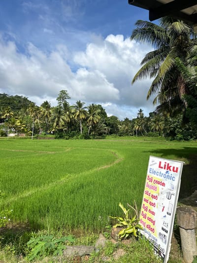 This media file captures a vibrant scene in Hakmana, Sri Lanka, showcasing a lush green rice paddy field under a bright, cloudy sky. The image is oriented vertically, with the sky taking up the left portion and the field extending to the right. A row of palm trees and dense tropical foliage borders the far side of the paddy.
Prominently displayed on the right side of the image is a white sign with red and blue lettering. The sign advertises "Liku Electronic" and lists various electrical appliances available, including blenders, rice cookers, gas cookers, fans, and kettles. The text on the sign is in both English and Sinhala, indicating the local language.
The lighting suggests it is daytime, likely mid-morning or afternoon, given the bright sunlight casting shadows and illuminating the scene. The clouds indicate a partly cloudy day, typical for tropical weather. The overall mood is peaceful and serene, with the natural beauty of the rice fields and tropical vegetation being the focal point. The presence of the sign suggests a commercial establishment located near the agricultural landscape, possibly serving the local community.