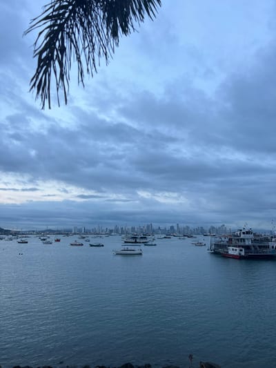 The image displays a wide view of a bay in Ancón, Panama, characterized by numerous stationary vessels of varying sizes. In the foreground, a dark, silhouetted palm frond extends diagonally from the upper left corner into the frame. The immediate lower foreground reveals a dark, rocky shoreline. The expansive body of water, a dark blue-grey, is populated by dozens of boats, ranging from small white recreational yachts and fishing boats to a larger, multi-decked vessel with red and white accents, positioned on the right side of the frame. In the distant background, a dense skyline of modern high-rise buildings belonging to Panama City is clearly visible. The sky above is entirely overcast with heavy, uniform grey clouds, indicating either dawn, dusk, or heavily overcast weather conditions. No individuals or specific actions are discernible.