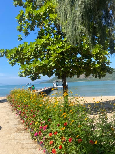 The image depicts a scenic coastal view in Hoa Thang, Vietnam. In the foreground, a vibrant row of potted flowers, primarily in shades of red, pink, and yellow, lines a sandy path. Beyond the flowers, a wooden pier extends into the calm, turquoise ocean. A white boat is docked at the end of the pier, and two individuals are seen walking on it, one holding a black umbrella. The background features a sandy beach, lush green trees with large leaves, and distant, hazy mountains under a clear blue sky. The overall scene evokes a tranquil and picturesque tropical environment.