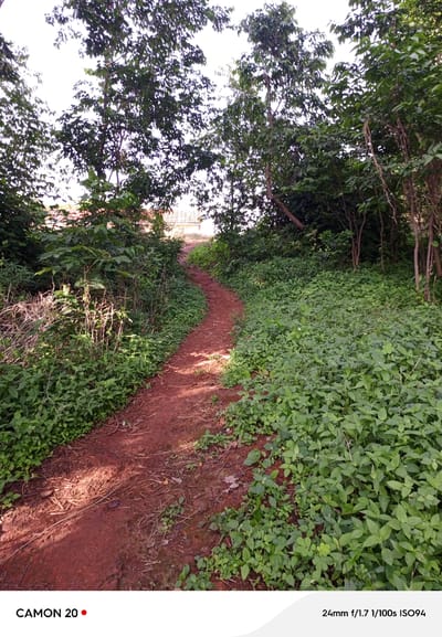 A dirt path curves through a lush green environment with trees and dense foliage. The path is a reddish-brown color and appears well-trodden. Sunlight filters through the leaves, casting shadows on the ground. In the background, part of a building with a sloped roof is visible, suggesting a semi-rural or suburban setting. The vegetation is thick and varied, with a mix of tall trees and lower-lying plants. The image depicts a serene natural scene, possibly a park or a trail in the city of Sabon Sarki, Nigeria, on an overcast day.