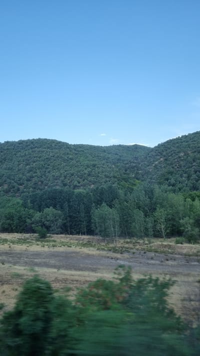 This is a landscape photograph taken in Kresna, Bulgaria. The image captures a lush green hillside covered in dense trees, with a clear blue sky overhead. In the foreground, there is a strip of dry, brown vegetation. The overall scene is serene and natural, typical of the Bulgarian countryside.