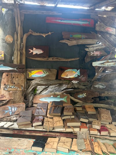 A rustic wall displays wooden planks adorned with painted fish of various colors and designs. Driftwood pieces intersperse the aquatic artwork. Adjacent to this display, a collection of small, bound books or journals is stacked. The overall aesthetic is handcrafted and beach-inspired.