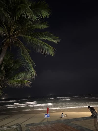 The image depicts a nighttime beach scene in An Hải Ward, Vietnam, viewed from a slightly elevated paved area. A prominent palm tree with green fronds and visible coconuts occupies the upper left quadrant. The sky is dark and clear, with a faint lighter cloud band visible above the horizon. The ocean features white-capped waves breaking on a sandy beach. In the midground, a small red flag is planted in the sand, alongside a blue and white sign displaying text that appears to include "CẤM TẮM" (Vietnamese for "No Swimming") and an associated icon. Two individuals are seated on the sand near the water's edge, close to the sign. Further right, a person with dark hair, wearing a plaid-patterned garment, is leaning forward with hands resting on a low, reddish-brown tiled barrier that separates the paved viewing area from the sand. Several small, bright lights are visible on the dark horizon over the water, likely from vessels or distant land.