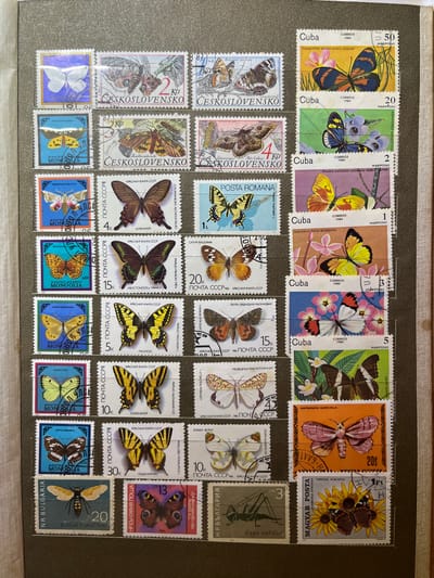 The image displays a page from a stamp album, filled with postage stamps featuring various butterfly and moth illustrations. The stamps are arranged in a grid-like pattern across the page, with some gaps. The stamps are from different countries, including Czechoslovakia, Cuba, Romania, the USSR, Mongolia, and Bulgaria. Some stamps have text in Cyrillic and Latin scripts. The album page itself is a light brown color and appears to be part of a larger album. There are no people or discernible environmental elements present in the image beyond the stamp album page. The image does not provide any information or context related to the city of Kramatorsk, Ukraine.