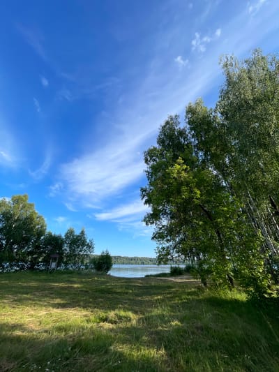 This media file captures a serene waterside landscape under a bright blue sky dotted with wispy white clouds. The scene is dominated by lush green foliage, with the tops of trees framing the upper left portion of the image. In the foreground and extending into the middle ground is a field of tall, sunlit grass, casting long shadows that suggest the sun is at a moderate angle, likely late morning or afternoon.
The middle ground reveals a body of water, possibly a river or lake, reflecting the sky and distant treeline. A narrow strip of sandy or dirt ground separates the grassy field from the water. Several trees grow along the shoreline, with one larger tree in the lower left area. Near this tree, a small, simple structure, perhaps a bench or a small shed, is visible. The distant shoreline is densely wooded with a dark green forest.
The overall mood is peaceful and natural. The clear sky and abundant greenery evoke a sense of calm and tranquility. There are no people visible in the image, and the focus is entirely on the natural environment. The image appears to be taken in a rural or natural setting, consistent with a location like Заречный, Russia, known for its natural beauty. The lighting indicates fair weather. No text is visible in the media file.