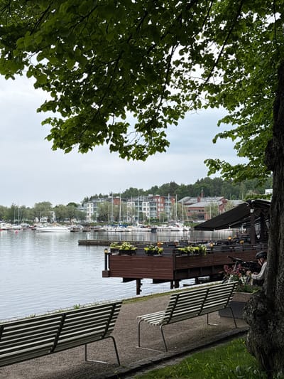 This image depicts a waterside scene in Lappeenranta, Finland, captured on an overcast day.
In the foreground, a dark, textured tree trunk occupies the far right side, partially framing the view. Adjacent to the tree, a light brown gravel path runs parallel to the water's edge. Two empty park benches, constructed with white horizontal slats and dark metal frames, are positioned on this path, facing the water. A narrow strip of green grass with sparse yellow dandelions separates the path from the tree on the right.
The midground features a calm body of water, likely a lake, exhibiting subtle ripples across its surface. Extending into the water from the right shore is a brown wooden pier structure that supports an outdoor dining area. This structure, possibly a restaurant or cafe, has dark wooden railings, several table settings, and a dark retractable awning extended overhead. Planters containing green and light-colored foliage are arranged along the edge of the dining area. A single person, wearing a light-colored long-sleeved shirt and a dark helmet, is seated at one of the tables within this outdoor area, looking down, with a bicycle parked nearby.
Across the water, on the far shore, numerous boats are moored at multiple docks. These include a mix of white-hulled sailboats with their masts upright and several motorboats, with a prominent white motorboat visible towards the left side of the frame. The shoreline behind the boats is populated with various buildings. These include modern multi-story residential structures, some with light facades and others with reddish-brown brick, interspersed with older, possibly industrial or institutional, red brick buildings. Dense green trees and foliage cover the hills rising behind these structures.
The sky is uniformly overcast, presenting a light grey tone with no discernible cloud features. The upper portion of the image is dominated by the lush, dense green canopy of a deciduous tree, its leaves and branches partially silhouetted against the bright sky, creating a natural frame for the scene below.