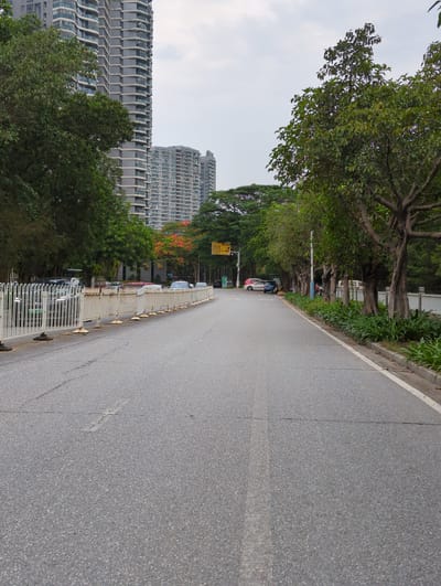 The image shows a street in Shunde District, China. The street is asphalt, and there are trees lining the side of the road. On the left side of the road, there are tall buildings. There are a few cars parked on the side of the road in the distance. The sky is overcast.