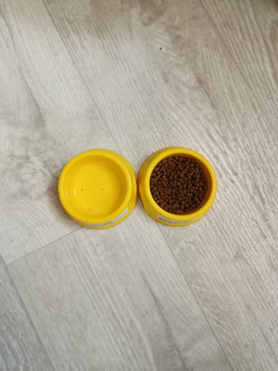A top-down, eye-level shot shows two yellow pet bowls on a light-colored, wood-patterned floor. The bowl on the left is empty and clean, while the bowl on the right is filled with small, brown kibble. The floor appears to be linoleum or laminate flooring with a visible wood grain texture and light gray and white tones. The lighting is uniform and neutral, casting no significant shadows. There are no people or animals visible in the frame. The setting is indoors, consistent with a domestic environment. The location of Pokrov, Ukraine is not discernible from the visual information presented.