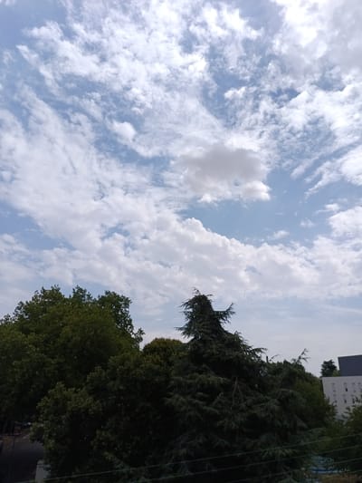 This is a medium shot of trees and a building against a cloudy sky, taken in Évreux, France. The sky is filled with a mix of white and gray clouds, with patches of blue visible. In the foreground, several large trees dominate the frame, their dark green foliage contrasting with the bright sky. To the right of the trees, a white building with dark-rimmed windows is visible. The image appears to be taken from a slightly elevated position, looking upwards towards the sky.