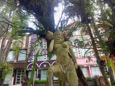 The image captures an outdoor scene in Cipanas, Indonesia, featuring a weathered statue in the foreground against a backdrop of diverse architecture and dense tropical foliage.
In the central foreground, a light-colored stone statue of a semi-nude female figure stands. The statue is extensively covered in green moss and biological growth, indicating prolonged exposure to elements. The figure is depicted holding a large, bulbous object, possibly a coconut or conch shell, to her right ear/shoulder. Her left arm is bent, hand resting near her hip. She wears a textured, leaf-like garment around her lower torso and a simple necklace. Her hair appears sculpted in waves.
Above and around the statue, tree branches are heavily adorned with lush green ferns and other broad-leafed epiphytic plants, creating a verdant canopy that partially obscures the sky. The foliage suggests a humid, natural environment.
In the mid-ground, a multi-story building complex with distinct architectural styles and colors is visible. From left to right, the complex displays: a brown section featuring multiple arched windows with white frames; an adjacent purple section characterized by ornate white archways and prominent vertical decorative elements; and a pink section with numerous rectangular windows, also framed in white, presenting a more uniform facade. These structures suggest a resort or themed establishment. The scene is illuminated by an overcast sky.