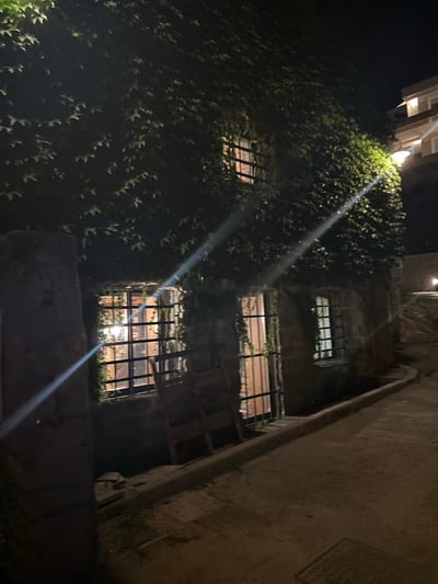 The image depicts a narrow street at night, likely in an older part of Trieste, Italy, given the architectural style. A stone building, heavily overgrown with ivy, dominates the left side of the frame. Three windows with metal grates are visible on this building; one on the left is partially obscured by a thick, rough stone pillar, while the other two are more clearly seen. Light emanates from behind the grates of these windows, suggesting occupancy or illumination within. A portion of a modern building, possibly an apartment block, is visible in the upper right background, with lit windows and a street lamp. The street itself is paved with asphalt and has a raised concrete curb. Two wooden structures, possibly seating or storage, are placed near the windows of the ivy-covered building. Streaks of light, likely from street lamps or reflections, diagonally cross the image, adding a dramatic effect. The overall atmosphere is dark and somewhat mysterious, with the ivy creating a sense of seclusion around the older building.