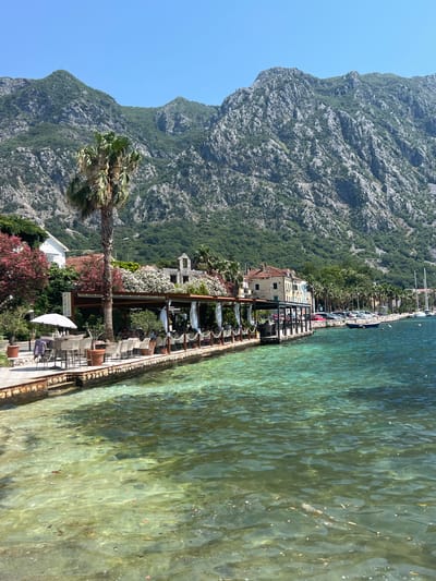 In Risan, Montenegro, a waterfront scene unfolds under a clear blue sky. A restaurant with an outdoor seating area lines the promenade, featuring tables and chairs beneath a covered pergola adorned with white drapery. Lush greenery and flowering plants, including a tall palm tree, enhance the picturesque setting. The turquoise water of the bay laps gently against the stone embankment, with a few boats visible in the distance. Majestic mountains rise steeply in the background, their rocky slopes dotted with vegetation. The scene captures a serene moment, inviting a sense of tranquility and natural beauty.