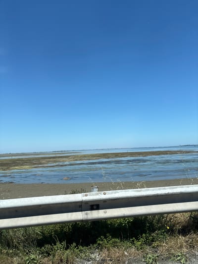 A photograph taken in Chioggia, Italy, presents a landscape divided between the sky and an adjacent field. The sky is a uniform, bright blue and occupies more than half of the left side of the image. A gray, weathered guardrail is situated vertically, separating the sky from the field. The field appears flooded, with the water level high enough to reflect the sky and the surrounding area, giving it a mirrored effect. Vegetation lines the edge of the field. The photograph captures a rural or semi-rural setting where agricultural land meets the sky, bordered by infrastructure.
