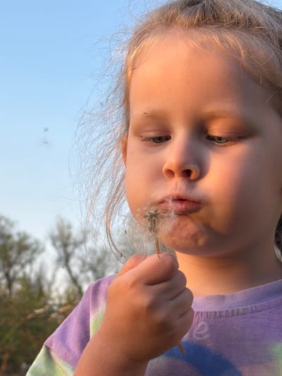 A young girl is blowing on a dandelion. She is holding the dandelion in her hand, and her lips are pursed as she blows. The background is a blue sky and some trees. It is difficult to determine the location of the image as it is not visible in the provided image.