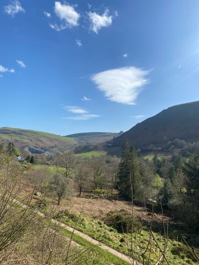 The image captures a rural scene near Llangynog, United Kingdom, featuring a steep hillside ascending to the left of the frame, meeting a blue sky with scattered cumulus clouds. The lower portion of the hillside is covered in green grasses and patches of brown heather, while the higher elevation is forested with deciduous trees showing early signs of spring budding. A narrow dirt trail is visible winding along the edge of the hillside in the foreground, bordered by shrubbery with nascent green leaves. In the valley below, a winding road leads to a cluster of buildings, possibly a small village or farmsteads. The photograph is taken at an oblique angle, contributing to the sense of depth in the landscape.