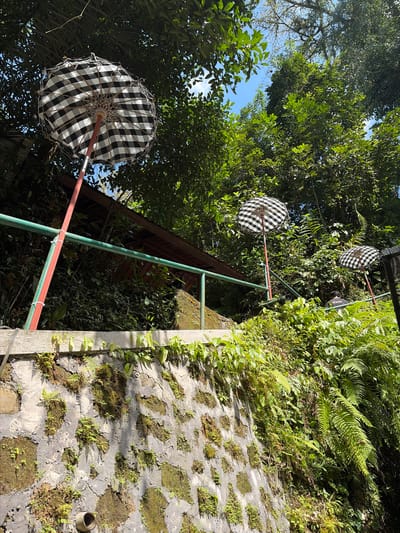 The image depicts an outdoor scene with lush green foliage and a clear blue sky. In the foreground, a stone wall covered in moss and small plants leads up a gentle slope. A green metal railing runs along the top of the wall, bordering a path. Three black and white checkered umbrellas are prominently displayed on red poles, spaced out along the railing. Behind the railing, a building with a reddish-brown roof is visible, partially obscured by trees. The trees are dense and verdant, suggesting a tropical or subtropical environment. The overall impression is one of a serene, natural setting, possibly a garden or a park, enhanced by the decorative umbrellas. The location is identified as Gianyar, Indonesia, known for its rich cultural heritage and natural beauty, including lush landscapes and traditional architecture.