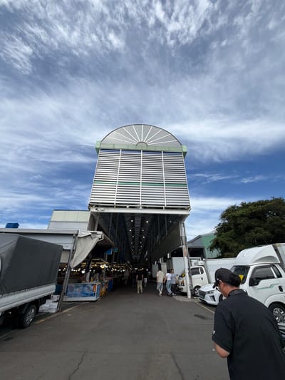 This is a vertical, full-shot, eye-level, outdoor, daytime photograph taken at the Dongmun Traditional Market in Jeju City, South Korea. The market features a long, covered walkway lined with stalls and vehicles. In the foreground, a person wearing a black cap and black short-sleeved shirt is facing away from the camera, looking towards the market. To the left, a grey truck with a black tarp is parked. Several white delivery trucks and a white car are visible further down the market. On the right side, a large building with a distinctive arched, slatted roof extends upwards. The sky above is blue with scattered white clouds. The ground is paved asphalt. The market stalls appear to be selling various goods, with lights illuminating the interior.