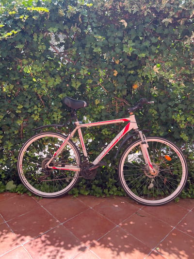 A white and red bicycle is parked on reddish-brown tiled ground in front of a dense green ivy hedge. The bicycle has a black seat, a black handlebar with a bell, and black fenders over both wheels. The front wheel is larger than the rear wheel and has a silver rim and spokes, with a red reflector visible. The rear wheel also has a silver rim and spokes, with a derailleur and gears visible. The bicycle frame has red and white detailing, with text that is partially obscured but appears to read "KALLING". The ivy hedge behind the bicycle is thick and lush, with some areas of yellowing leaves and darker branches visible within. Sunlight casts dappled shadows on the tiled ground from the foliage above. The overall scene is an outdoor setting, possibly a garden or patio. There are no people or animals visible in the image. The location is identified as Bijela, Montenegro.