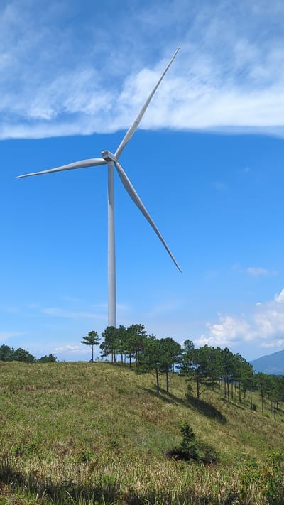 A full shot captures a solitary wind turbine standing tall against a vibrant blue sky dotted with wispy white clouds. The turbine's large, white blades are angled upwards and outwards, suggesting movement or a poised state. Below the turbine, a grassy, undulating hillside is sparsely populated with pine trees. The vegetation on the hillside ranges from dry, yellowed grasses to greener patches, indicating varied conditions. The scene appears to be a natural landscape, possibly a rural or mountainous area, and is situated in Phát Chi, Vietnam, as identified by the context provided.