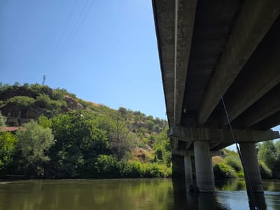 The image depicts a view from the perspective of someone in a body of water, looking towards a bridge and a tree-lined embankment under a clear blue sky. The bridge, constructed of concrete, dominates the right side of the frame, with its underside visible and supported by thick pillars. The embankment on the left is covered in lush green trees and shrubs, with a rocky outcrop visible towards the top. A single transmission tower with wires extending from it is present on the upper left of the embankment. The body of water in the foreground is calm, reflecting the sky and surrounding foliage. A fishing rod is positioned vertically in the foreground on the right side of the image. There are no people visible. The scene appears to be located in Belo Pole, Bulgaria, likely near a river or stream that flows under the bridge.