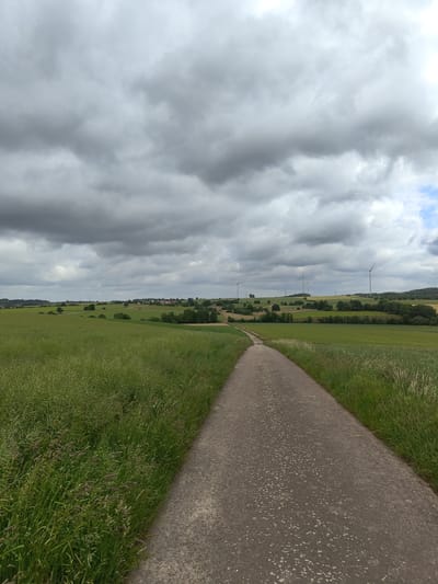 An outdoor, eye-level photograph captured in Mettlach, Germany, depicts a rural landscape under an overcast sky. A grey, paved path extends from the bottom center into the midground, subtly curving towards the left before ascending a gentle rise and disappearing from view. The path's surface exhibits numerous small, light-colored specks. Dense green fields flank both sides of the path; the field on the left displays tall grasses and a crop with visible seed heads, some with purplish hues. The field on the right is also green with tall grasses.
In the midground, the landscape transitions into rolling hills and agricultural fields, interspersed with scattered trees and small clusters of foliage. Towards the left background, a collection of residential structures or a small village is visible amidst trees. Across the mid to far background, at least five white wind turbines stand prominently on elevated terrain, their blades partially visible or silhouetted against the sky.
The sky is predominantly covered by heavy, dark grey stratocumulus clouds, with a small patch of brighter sky and a hint of blue discernible in the upper right quadrant. No individuals, animals, or vehicles are present in the scene. The lighting is diffused, consistent with an overcast day.