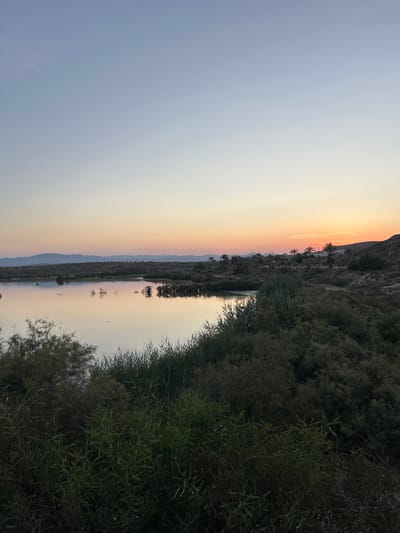 This is a landscape photograph taken at sunset in the Cabo de Gata-Níjar Natural Park, near Vera, Spain. The image captures a tranquil scene with a body of water reflecting the soft hues of the sky. The foreground is filled with dense vegetation, including reeds and shrubs. In the middle ground, the calm water is dotted with small islands and sparse trees. The background reveals a low mountain range with a few scattered buildings and palm trees, indicating a coastal or near-coastal arid environment. The sky is a gradient of soft blues, pinks, and oranges, characteristic of a sunset. There are no people visible in the image, and the overall atmosphere is serene and natural.