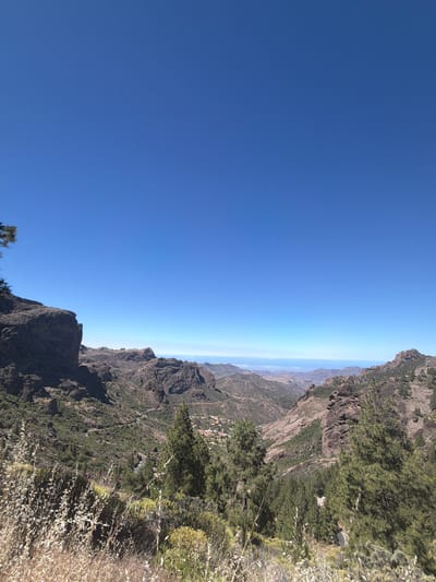 The image depicts a mountainous landscape with a clear blue sky. In the foreground, dry grasses and sparse green vegetation cover the terrain. The mid-ground features rugged, rocky slopes dotted with numerous pine trees. A winding road is visible traversing the valley, with a few small buildings clustered in the distance. The background reveals more undulating hills and a hazy horizon where the land meets the sea. The location is identified as being in the vicinity of Tejeda, Spain.