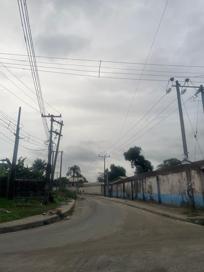 The image depicts a street scene in Elelenwo, Nigeria, characterized by overcast skies and numerous overhead power lines. A paved road curves through the frame, flanked by a sidewalk on the left and a long, weathered wall on the right. The wall is painted with a faded pink upper section and a distinct blue stripe at the bottom, adorned with what appear to be crude murals.

On the left side of the road, a dense cluster of trees and vegetation is visible, partially obscured by a dark metal fence. Several utility poles with complex arrangements of wires and insulators stand along the roadside, some appearing to lean or be in disrepair. Debris and trash are scattered along the edge of the sidewalk and road.

Further down the street, a few figures can be seen walking, one near the wall on the right and two more in the distance on the left. Buildings are visible behind the wall and trees, including structures with pitched roofs. The overall impression is that of a somewhat neglected urban environment with essential infrastructure, such as electricity, prominently featured.