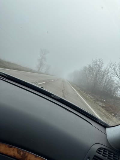 The image depicts a foggy road scene in Kovachevets, Bulgaria, viewed from the interior of a moving vehicle. The foreground is occupied by a dark grey, textured dashboard, with a Mercedes-Benz emblem visible on the hood just beyond the windshield base. A strip of wood grain trim is present along the lower left interior. The asphalt road, marked with a solid white line on the right shoulder and a broken or solid white center line, extends into the distance. Bare, deciduous trees line both sides of the road, appearing indistinct due to heavy, uniform fog that severely limits visibility to approximately 50-75 meters. The terrain adjacent to the road consists of dry grass and sparse vegetation. No people or animals are visible. The sky is completely obscured by the fog.