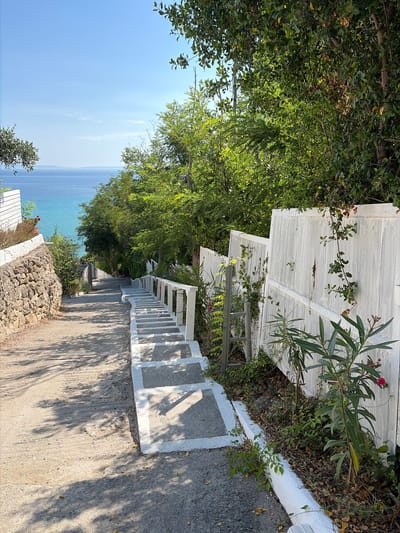 The image depicts an outdoor scene on a sunny day, likely in Kassandra Municipal Unit, Greece, given the visual cues of the Mediterranean Sea and vegetation. A paved path with a stone wall on the left leads downwards towards a series of outdoor stairs. The stairs are concrete with white painted edges and a white railing on the right side. Lush green trees and foliage are visible on both sides of the path and stairs, with some dry leaves scattered on the ground. The path and stairs are shaded in places by the trees, indicating the time of day. In the background, the turquoise waters of the sea stretch out under a clear blue sky. The overall impression is a pathway leading to or from a coastal area, possibly a beach or a waterfront property. There are no people or animals present in the image.