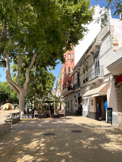 This image captures a sunny day in Eivissa, Spain. The scene is a pedestrian walkway lined with buildings and trees. On the left, a large tree with a light-colored trunk and abundant green foliage dominates the foreground, with its branches extending upwards. Behind the tree, buildings of various colors, including white and pink, are visible. Some of these buildings appear to be shops or restaurants, with awnings and signage.
To the right of the walkway, there is a paved area with dappled sunlight and shadows cast by the trees. A metal bench is placed along the edge of the walkway. Further down the walkway, there are outdoor seating areas with tables and chairs, suggesting a commercial or dining establishment. The overall atmosphere is bright and inviting, indicative of pleasant weather suitable for outdoor activities.
A sign above one of the establishments reads "POLONIO". Another sign, a dark chalkboard with white lettering, lists items such as "NEW", "SOUL", "FU", and "NOW". The architecture and the bright sunlight suggest a Mediterranean setting. No people are clearly visible in the frame, giving a sense of tranquility to the scene. The image is oriented vertically.