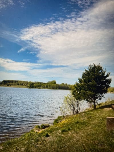 This is a photograph of a calm lake under a partly cloudy blue sky. The shoreline is covered in green grass with some small yellow flowers. A few trees are visible on the right side of the frame, one of which is a pine tree. In the distance, a treeline of lush green foliage stretches across the horizon. The water has gentle ripples. The scene appears to be in a natural, outdoor setting, possibly a park or a recreational area. The image does not contain any people or indications of specific actions or interactions. The location in Yegorlykskaya, Russia, is not visually identifiable from the image itself.