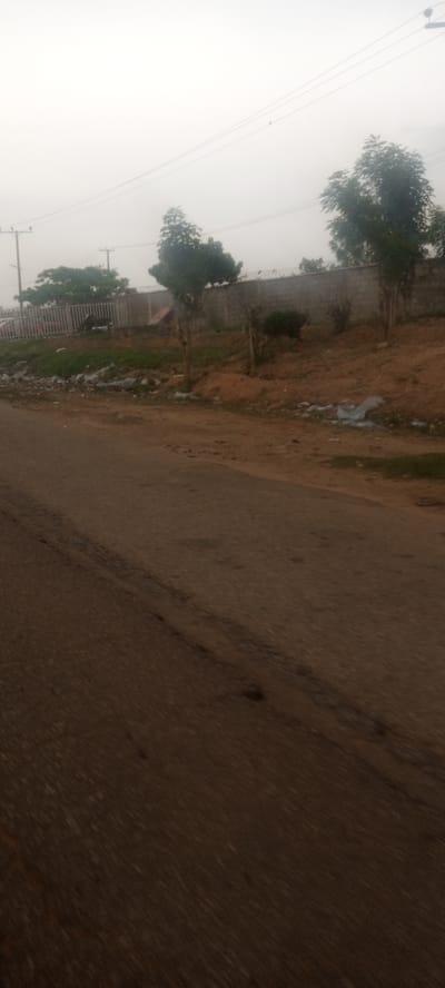 The image depicts a street scene in Television, Nigeria, under an overcast sky. The focus is on the asphalt road in the foreground, which has visible wear and tear. To the side of the road, there's a grassy embankment with scattered trash and two young trees. A concrete wall with barbed wire runs along the top of the embankment. In the background, utility poles and more trees are visible, blending into the hazy atmosphere. There are no people visible in the image.