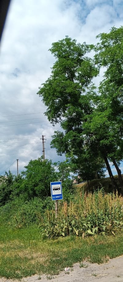 This is a medium shot, outdoors, natural light photograph of a bus stop sign in Popivka, Ukraine. The sign is blue and white, featuring a silhouette of a bus and the Ukrainian text "НА ВИМОГУ" which translates to "on demand." The sign is mounted on a wooden post and is surrounded by green foliage and tall grasses. In the background, there are trees, power lines, and a utility pole. The sky is cloudy with patches of blue. The overall scene depicts a rural or semi-rural setting, possibly on the outskirts of a town. There are no people visible in the image.