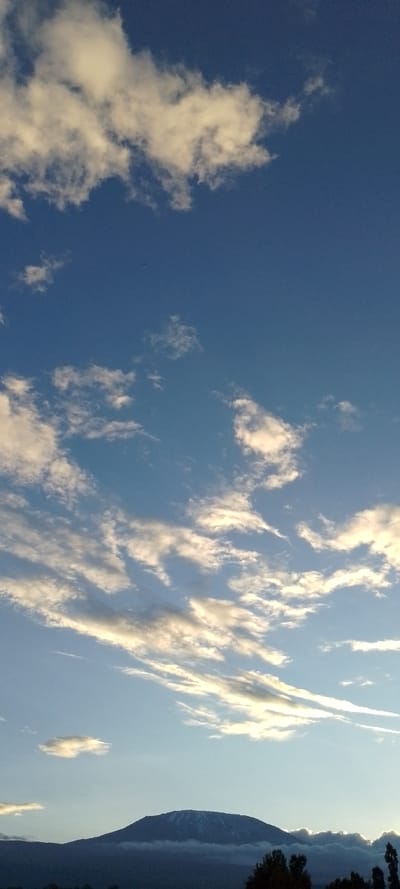 The image depicts an expansive outdoor landscape from Kuku ward, Kenya. The upper two-thirds of the frame are dominated by a clear blue sky. Various formations of white and light-grey clouds, some wispy and elongated, others more diffused, are scattered across the sky, exhibiting golden illumination consistent with a low sun angle. A faint white contrail extends diagonally from the lower right portion of the sky. Several minuscule, dark, indistinct specks are sparsely visible against the blue backdrop. The lower third of the image features the dark silhouette of a large mountain, identified as Mount Kilimanjaro, its summit capped with a distinct area of white snow or ice. The mountain's lower slopes are partially obscured by a horizontal layer of light-grey atmospheric haze or low-lying clouds. The extreme bottom right of the frame shows the dark, indistinct tops of several trees. No people, animals, or other man-made structures are present within the scene.