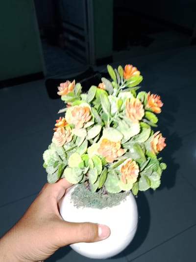 A close-up, slightly blurry, eye-level shot shows a hand holding a small white pot containing a fake potted plant with orange flowers and green leaves. The background is dark and out of focus, with a hint of a doorway or opening and a dark floor. The overall scene appears to be indoors. No specific location in Sendangrejo, Indonesia, can be identified from the image.