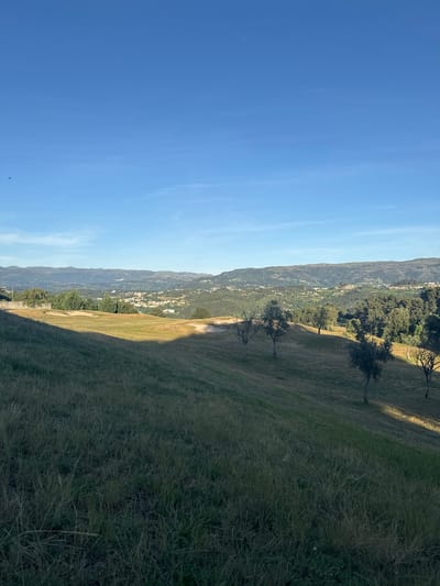 This is a high-angle, eye-level, outdoor, natural light photograph taken in the city of Amarante, Portugal. The image captures a wide landscape view, dominated by a clear, bright blue sky that occupies the upper portion of the frame. Below the sky, a distant mountain range is visible, receding into the haze. Scattered across the slopes of these mountains are numerous buildings, suggesting a town or city nestled within the terrain.
In the foreground, a grassy hillside slopes downwards from the left to the right. The grass is a mix of green and dry, yellow hues, indicating a semi-arid or late summer season. A distinct shadow, cast by an unseen object or terrain feature, stretches across the lower left section of the hillside, creating a stark contrast with the sunlit areas.
Several sparsely-leaved trees are dotted across the middle ground of the hillside. These trees appear to be deciduous and are in various stages of growth, with some having a gnarled, bare appearance. In the far middle ground, a patch of manicured green grass is visible, likely part of a golf course, with sand traps indicated by their light brown color. Beyond this, the landscape continues with more trees and then the aforementioned populated hills. The overall scene conveys a sense of rural tranquility with hints of human habitation in the distance. There are no people or animals prominently featured in the image.