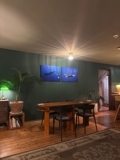 The image depicts an interior scene, likely a dining area or living room, with a distinctly warm and inviting ambiance. The primary subjects are a wooden dining table with four dark chairs, a potted plant, and two framed underwater photographs mounted on a dark green wall. The photographs appear to show divers interacting with marine life, one with a whale.

A prominent feature is a ceiling-mounted light fixture that casts a radiant, starburst pattern of light across the beige wall, suggesting it's either evening or the room is intentionally dimly lit to create a cozy atmosphere. The wooden floor is polished and reflects the light, adding to the warmth of the space. A patterned rug with a light beige design on a darker background is visible on the right side of the image.

To the left of the dining area, a closed window with draped curtains is visible, and above it, a small, circular ceiling fixture is present. Further to the right, a wooden cabinet with books neatly stacked inside is positioned next to the dining table. A green lamp with a bulb is also visible, casting a green hue on the surrounding area.

The overall impression is one of a well-decorated and comfortable home. The lighting, the choice of artwork, and the presence of plants contribute to a serene and relaxed mood. There are no people visible in the image, and the scene is static, suggesting a moment captured rather than an active event. The location context of Jeju, South Korea, isn't explicitly visible through any strong cues but could imply a coastal influence on the decor, such as the underwater artwork. No discernible text is present in the image.
