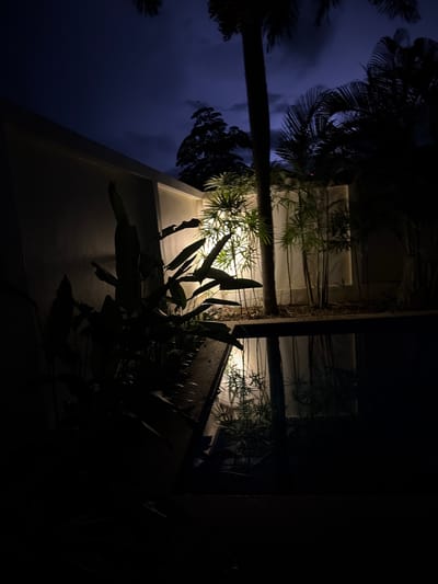 The image depicts an outdoor scene at dusk, with the sky a deep, dark blue indicating twilight. Silhouetted palm fronds frame the top left of the image, suggesting a tropical or subtropical location.
The foreground is dominated by a white structure, possibly a building facade or wall, which angles upwards from the bottom left. In front of this structure, large, dark green leaves of tropical plants are visible, casting dramatic shadows on the wall due to unseen light sources. These plants appear lush and well-maintained.
Behind the foreground elements, a modern architectural structure is visible. It features white walls and illuminated sections, possibly recessed lighting or internal illumination, which creates a soft glow. Vertical elements, possibly supporting beams or decorative features, are interspersed within this structure. Smaller, spiky green plants are visible in this illuminated area, adding texture and depth. The overall impression is one of a well-designed outdoor space, possibly a garden or patio area of a resort or private residence, enhanced by nighttime lighting. The lack of visible people and the tranquil atmosphere suggest a peaceful setting. The lighting and the presence of palm trees strongly hint at a warm climate, consistent with the provided location context of Baan Bang Rak, Thailand.