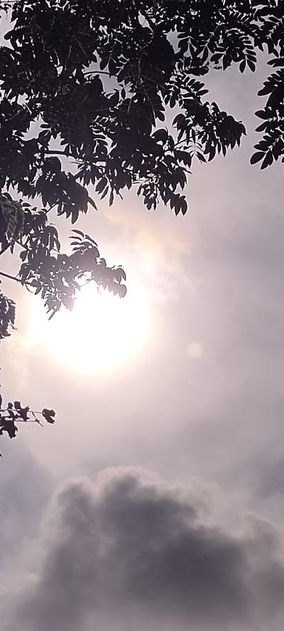 The image is a low-angle shot looking up at the sky through the dark silhouette of tree branches and leaves. The sun is visible as a bright, blown-out white disc in the upper left quadrant, partially obscured by foliage. Wispy clouds are present in the sky, with a more defined, dark cloud formation in the lower portion of the frame. The overall impression is of a hazy or overcast day with the sun breaking through. The location is identified as Langnibong, Indonesia.