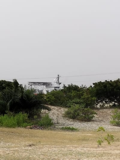 A distant, obscured view of a large ship with a helipad partially hidden behind a dense thicket of green trees and vegetation. A sandy, arid foreground gives way to a low hill covered in lush foliage that conceals much of the ship's hull. The ship's white bridge and a tall mast are visible above the trees. Above, the sky is a uniform gray. Two power lines are visible above the ship.