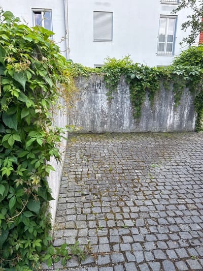 This is a medium shot of an outdoor paved area adjacent to a building, located in Höhenkirchen-Siegertsbrunn, Germany. The ground is covered in rough, dark gray cobblestones. A low, weathered concrete wall runs horizontally across the middle of the image, with thick green ivy growing over its top and cascading down its sides. The building behind the wall is painted a light color and has two windows visible, one with a blue frame and a metal security grate, and another with a white shutter. The lighting suggests it is daytime. There are no people or animals present in the scene.