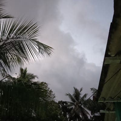 The image, taken from a low-angle perspective, shows a cloudy sky with glimpses of light breaking through the cloud cover. The foreground is dominated by the silhouettes of palm trees with their characteristic fronds. A portion of what appears to be a building’s roof is visible on the right side of the frame. The dim lighting suggests the image was taken either during twilight or under heavily overcast conditions. Based on the prompt, the location is Badem, India. No people are visible in the image. The scene captures a moment in a natural setting partially framed by the architecture of a built environment.